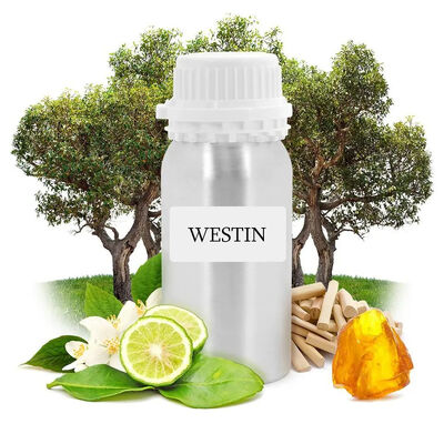 Wholesale Electric Scent Diffuser Fragrance Oil 500ml Perfume Essential Oil for Aroma Diffuser Wholesale Marketing